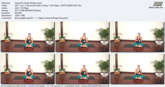 The Collective Yoga - Going Pro Series: Wisdom