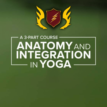 Yoga International - Anatomy and Integration in Yoga