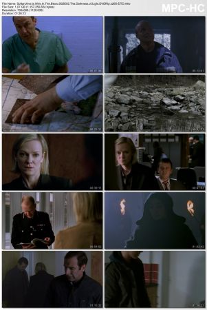 Wire in the Blood S02 DVDRip x265-ZiTO