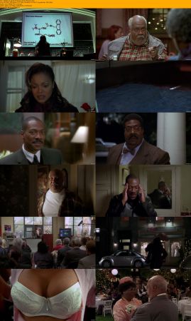 Nutty Professor Duology 1080p BRRip x264 AC3 DiVERSiTY