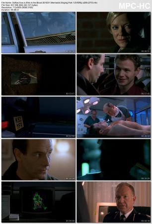 Wire in the Blood S01 DVDRip x265-ZiTO