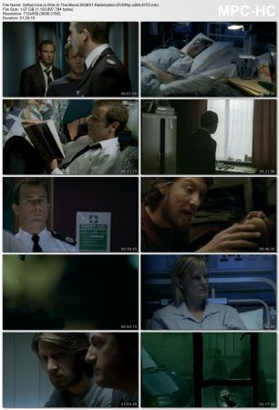 Wire in the Blood S03 DVDRip x265-ZiTO