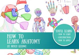 How to Learn Anatomy by Mitch Leeuwe