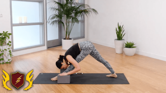The Collective Yoga - Dynamic Flow with Denise Antoine