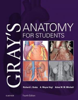 Gray's Anatomy for Students, 4th EditionTrue PDF
