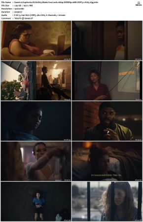 Euphoria S01 1080p WEBRip 10Bit DDP5.1 H265-d3g