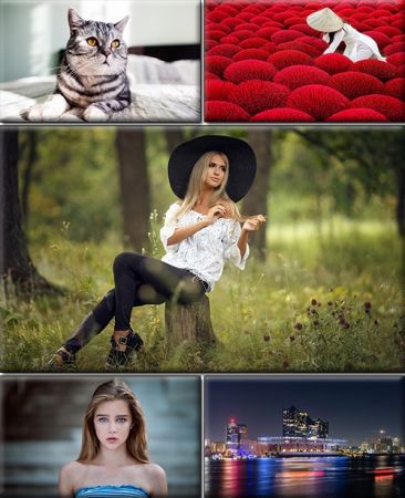 LIFEstyle News MiXture Images. Wallpapers Part (1913)
