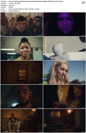 Euphoria S01 1080p WEBRip 10Bit DDP5.1 H265-d3g