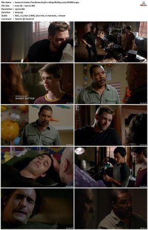 Under the Dome S03 1080p BluRay x265-RARBG
