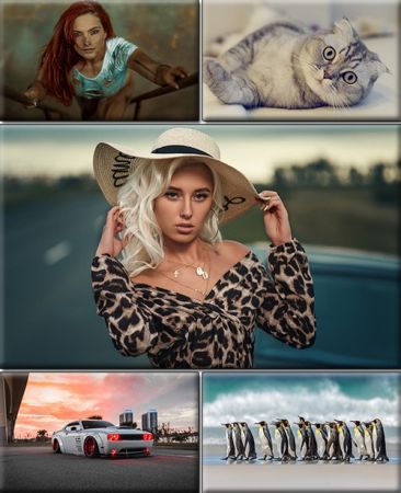 LIFEstyle News MiXture Images. Wallpapers Part (1915)