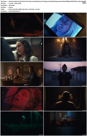 Euphoria S01 1080p WEBRip 10Bit DDP5.1 H265-d3g