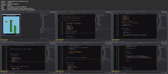 Learn C# by Making a Flappy Bird Game in Windows Form &amp; VS
