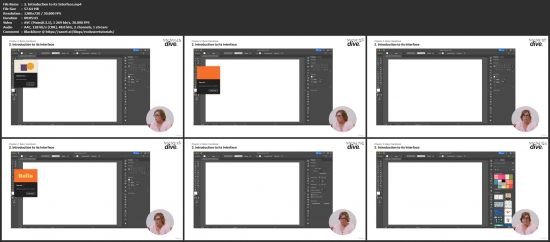 Illustrator: Get Ahead with a Graphics Expert