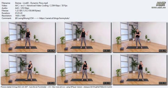 The Collective Yoga - Dynamic Flow by Denise Antoine