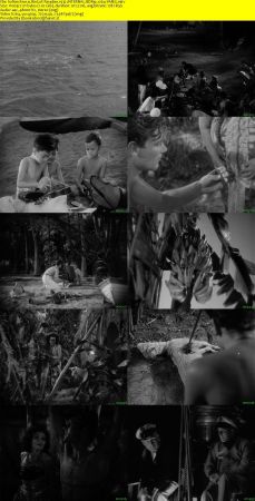 Bird of Paradise 1932 iNTERNAL BDRip x264-YAMG