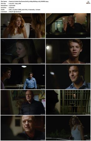 Under the Dome S01 1080p BluRay x265-RARBG