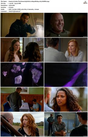 Under the Dome S03 1080p BluRay x265-RARBG