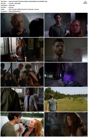 Under the Dome S03 1080p BluRay x265-RARBG