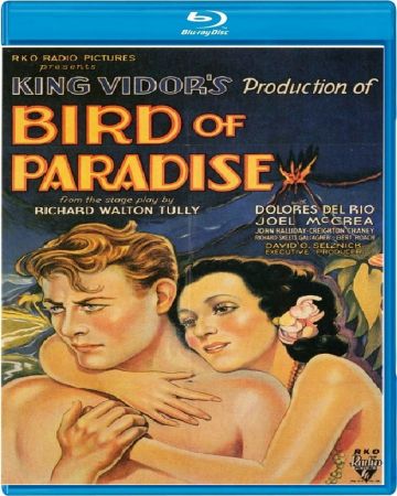 Bird of Paradise 1932 iNTERNAL BDRip x264-YAMG