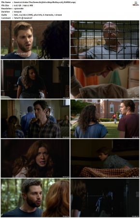 Under the Dome S03 1080p BluRay x265-RARBG
