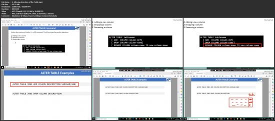 Database and SQL for Beginners