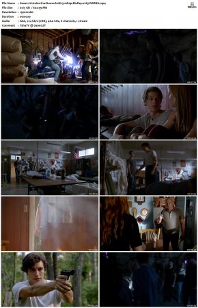 Under the Dome S02 1080p BluRay x265-RARBG