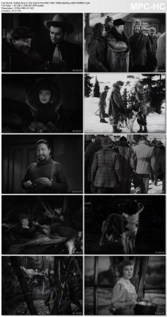 The Call of the Wild 1935 1080p BluRay x265-RARBG