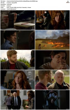 Under the Dome S02 1080p BluRay x265-RARBG