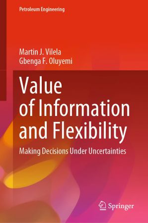 Value of Information and Flexibility: Making Decisions Under Uncertainties (True EPUB)