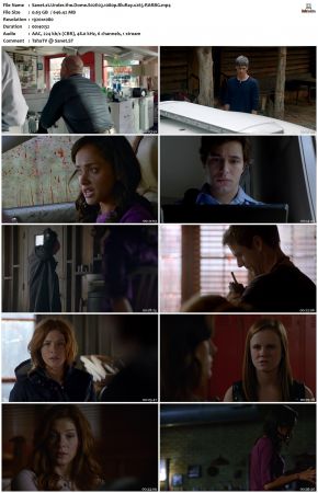 Under the Dome S02 1080p BluRay x265-RARBG