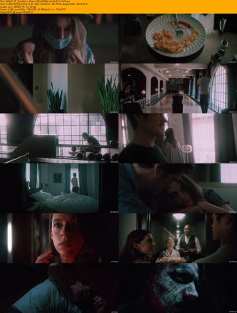 Shelter in Place 2022 BRRip XviD AC3-EVO