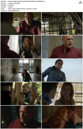 Under the Dome S01 1080p BluRay x265-RARBG