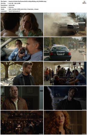 Under the Dome S01 1080p BluRay x265-RARBG