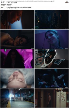 Euphoria S01 1080p WEBRip 10Bit DDP5.1 H265-d3g
