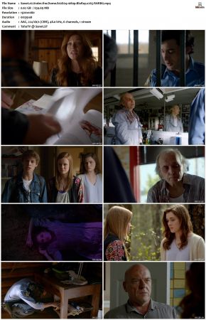 Under the Dome S02 1080p BluRay x265-RARBG