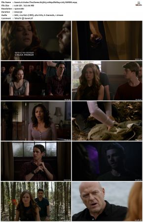 Under the Dome S03 1080p BluRay x265-RARBG