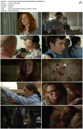 Under the Dome S01 1080p BluRay x265-RARBG