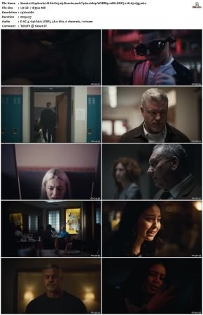 Euphoria S01 1080p WEBRip 10Bit DDP5.1 H265-d3g