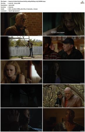 Under the Dome S01 1080p BluRay x265-RARBG
