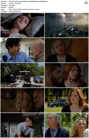 Under the Dome S02 1080p BluRay x265-RARBG