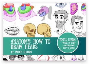 Anatomy: how to draw the Heads by Mitch Leeuwe