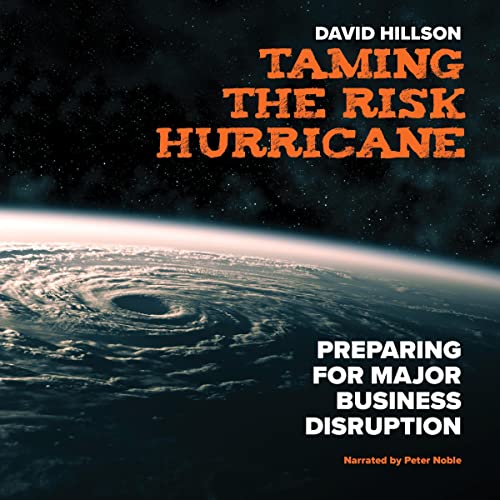 Taming the Risk Hurricane: Preparing for Major Business DisruptionAudiobook