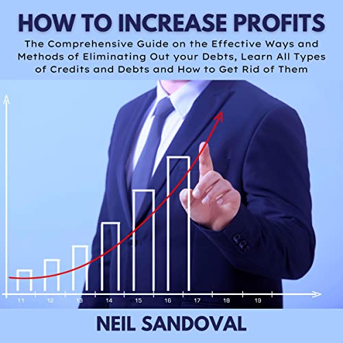 How to Increase ProfitsAudiobook