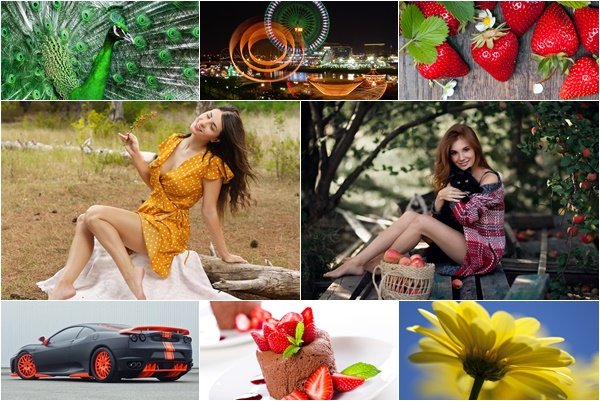 Mixed Beautiful Wallpapers Pack 1599