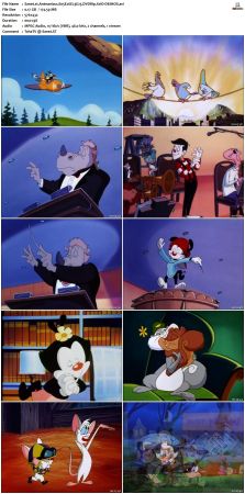 Animaniacs 1993 S05 DVDRip XviD-DEiMOS