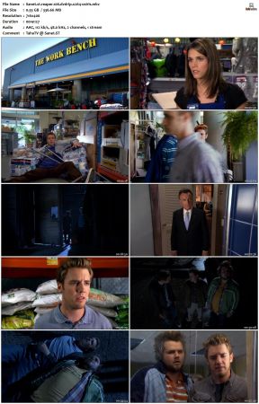 Reaper S01 iNTERNAL DVDRip X264-OSiRiS