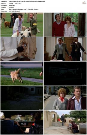 Hart To Hart S05 1080p WEBRip x265-RARBG