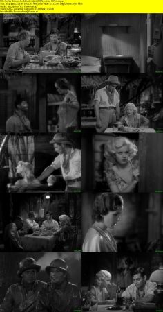 Red Dust 1932 WEBRip x264-ION10