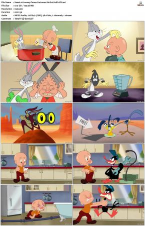 Looney Tunes Cartoons S01 REPACK XviD-AFG
