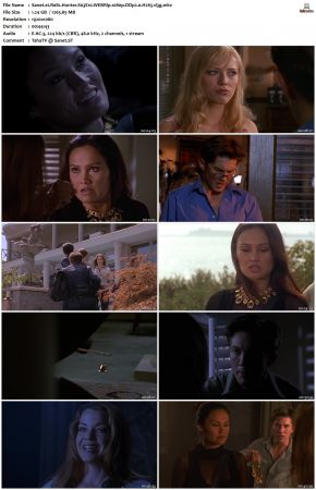 Relic Hunter S03 1080p WEBRip DDP2.0 H265-d3g